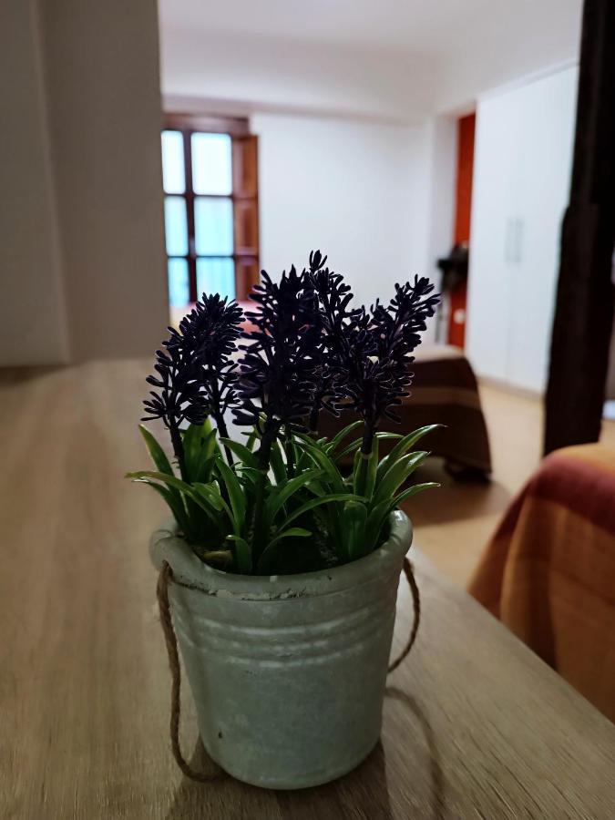 Corrala De San Anton. Sencillo Apartamento En Pleno Centro Granada Eksteriør billede